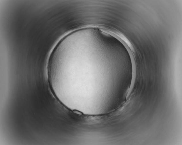 X0000091581148200709171111