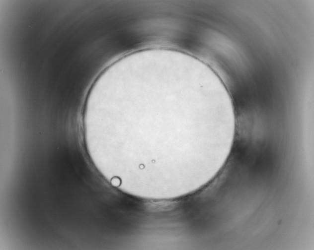 X0000091581150200709171111
