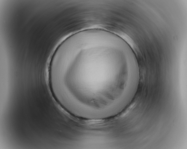 X0000091581151200709171111