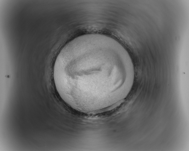 X0000091581153200709171110
