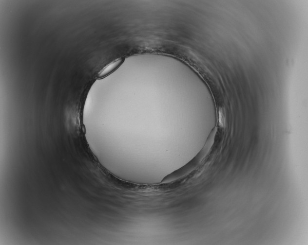 X0000091581155200709171110