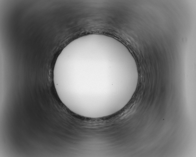 X0000091581156200709171110