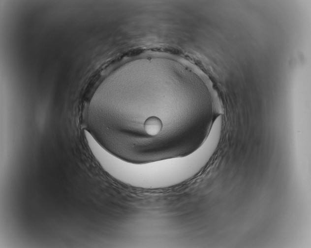 X0000091581157200709171110