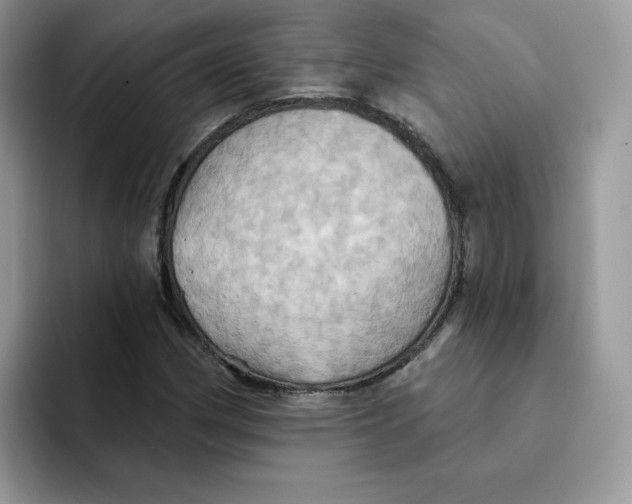 X0000091581162200709171110