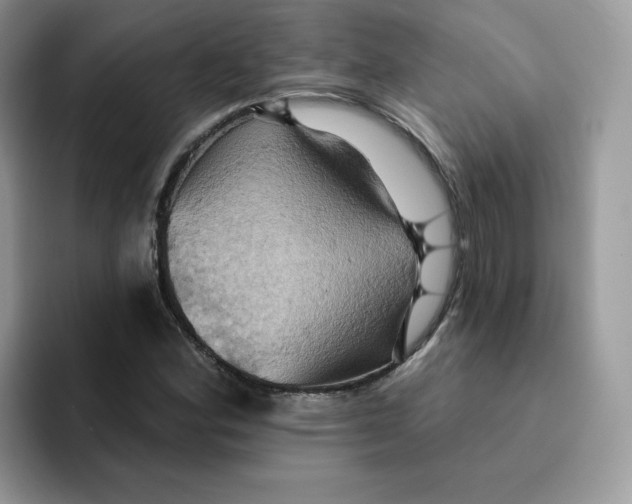 X0000091581164200709171110
