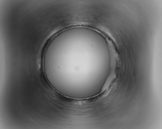 X0000091581165200709171110