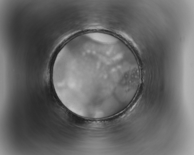 X0000091581167200709171110