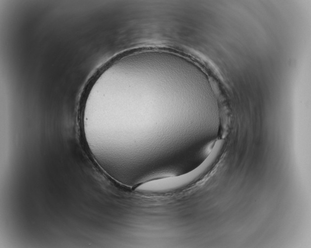 X0000091581168200709171110