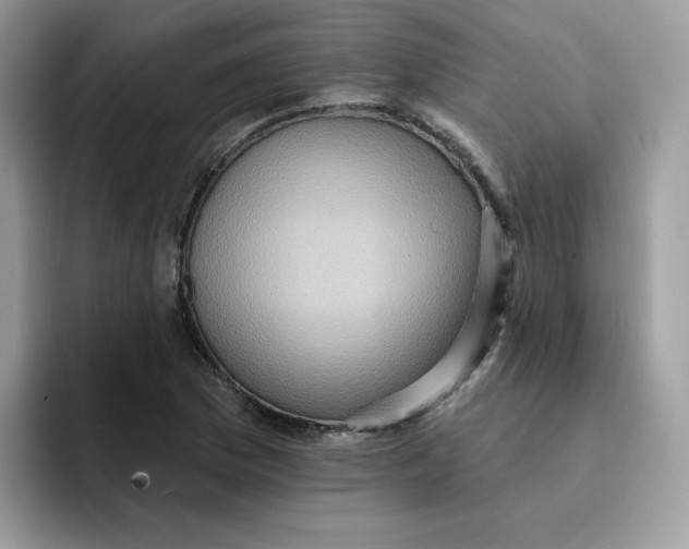 X0000091581169200709171110