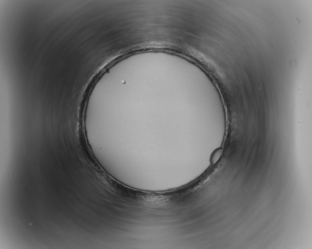 X0000091581170200709171110