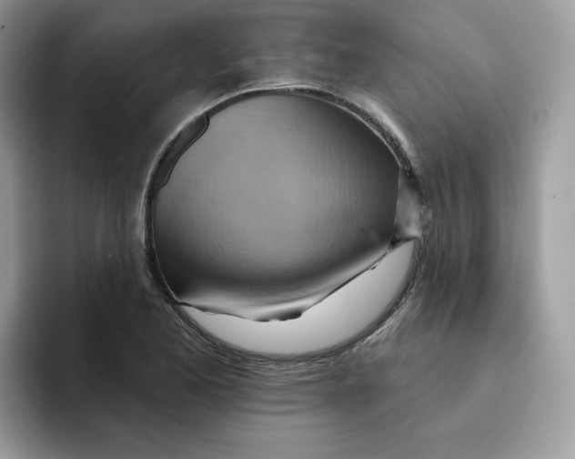 X0000091581173200709171110
