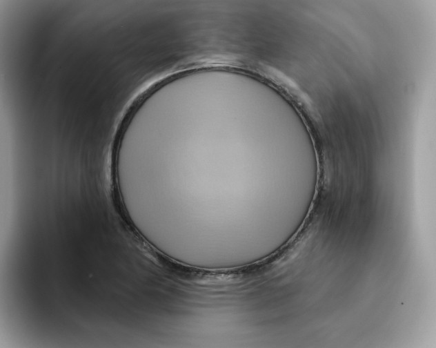 X0000091581174200709171110