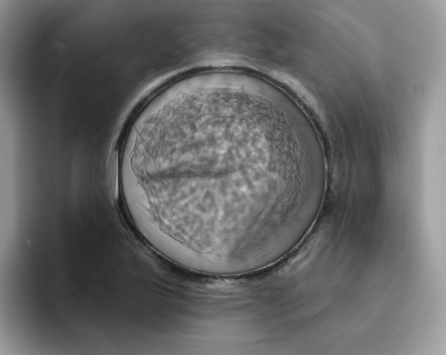 X0000091581175200709171110
