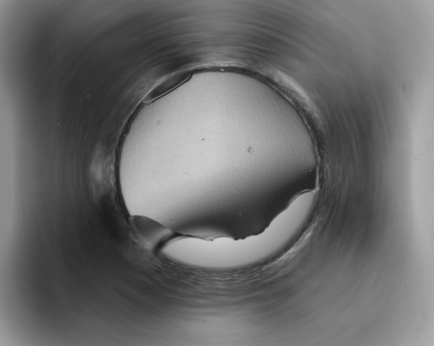 X0000091581177200709171110