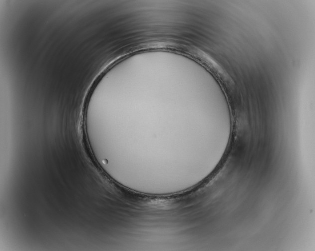 X0000091581178200709171110