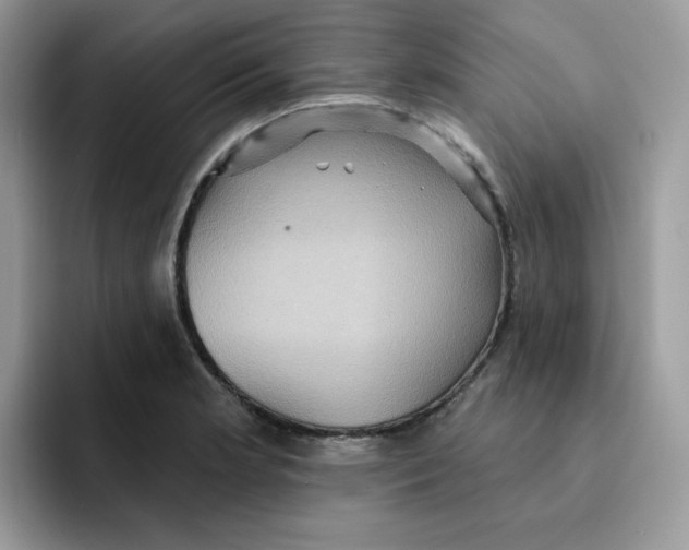 X0000091581181200709171110