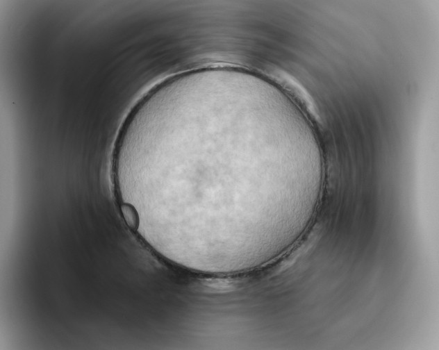X0000091581182200709171110