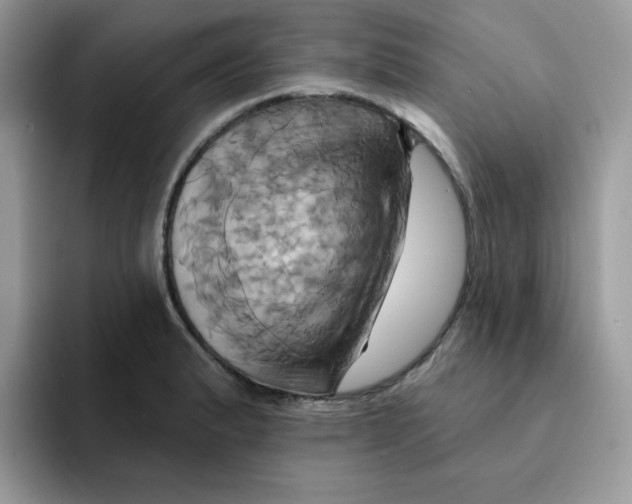 X0000091581183200709171110