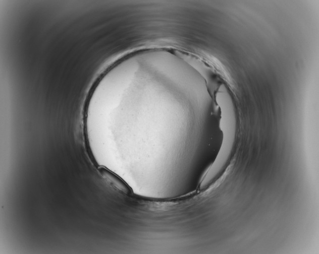 X0000091581184200709171110