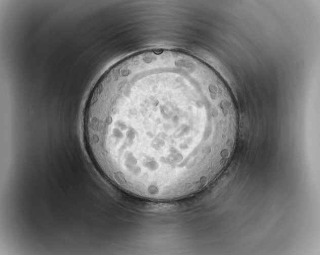 X0000091581187200709171110
