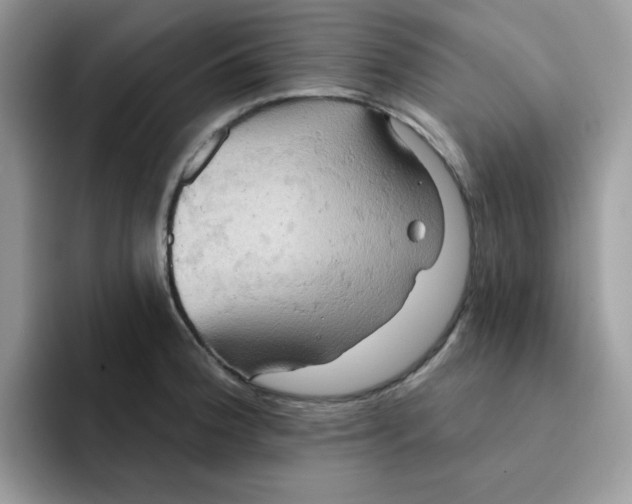 X0000091581188200709171110