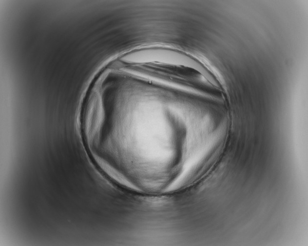 X0000091581189200709171110