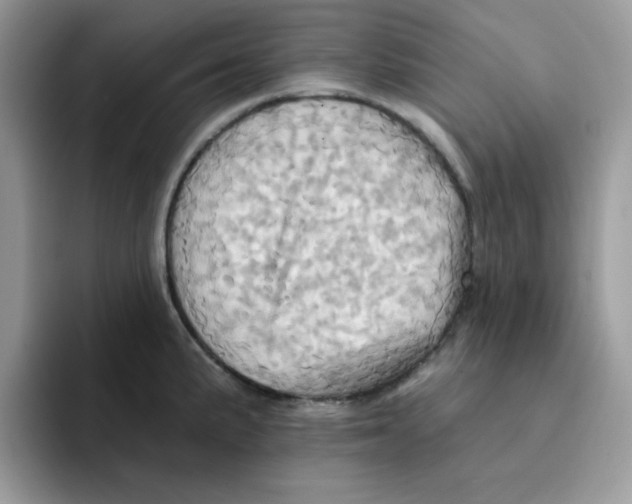 X0000091581191200709171110