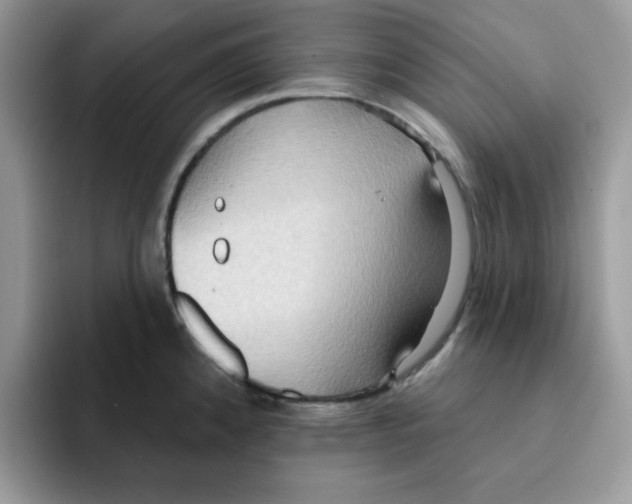 X0000091581192200709171110