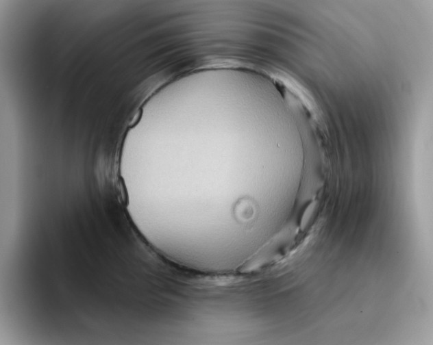 X0000091581193200709171110