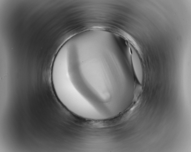 X0000091581194200709171110