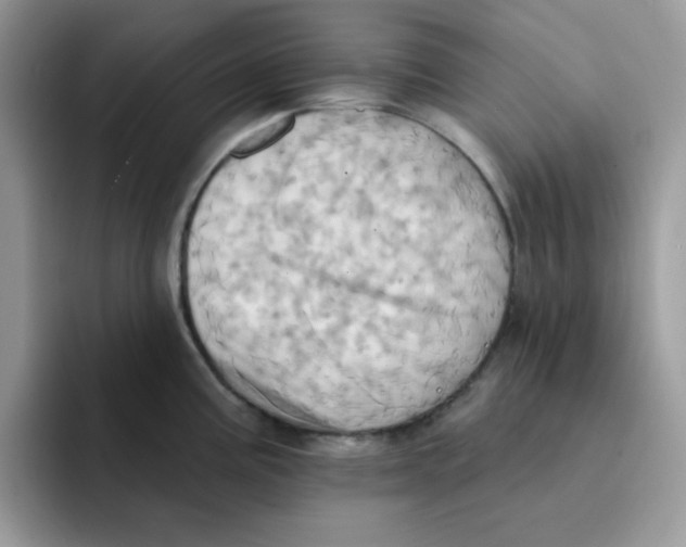 X0000091581195200709171110
