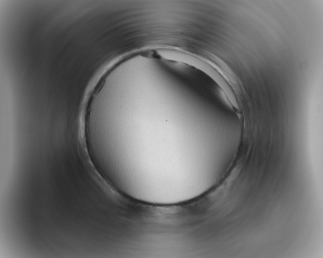 X0000091581196200709171110