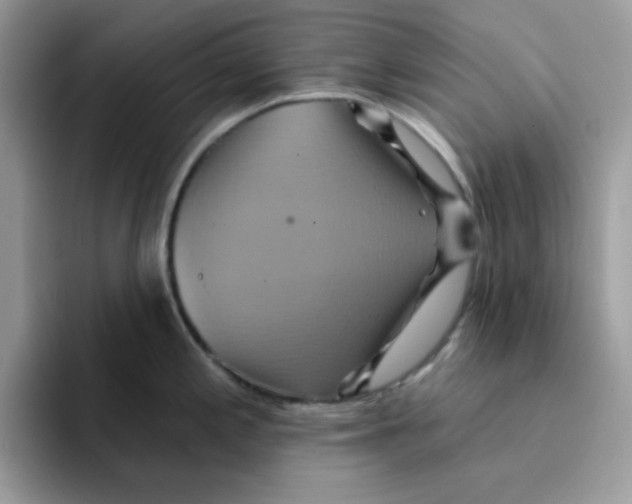 X0000091581197200709171110