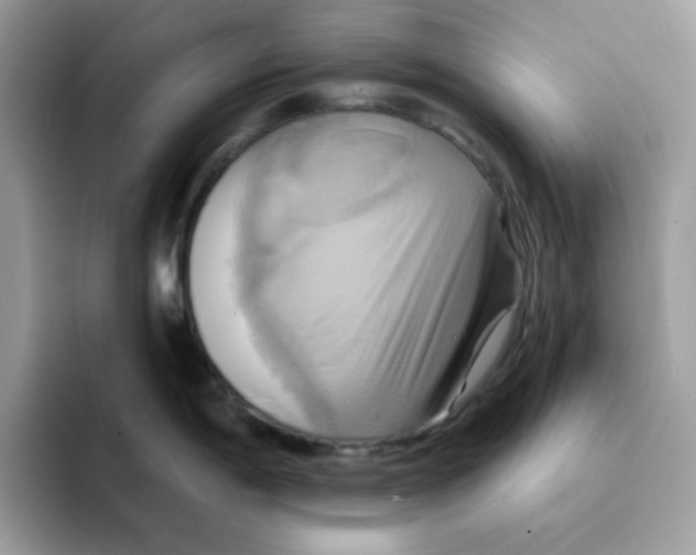 X0000091581198200709171110