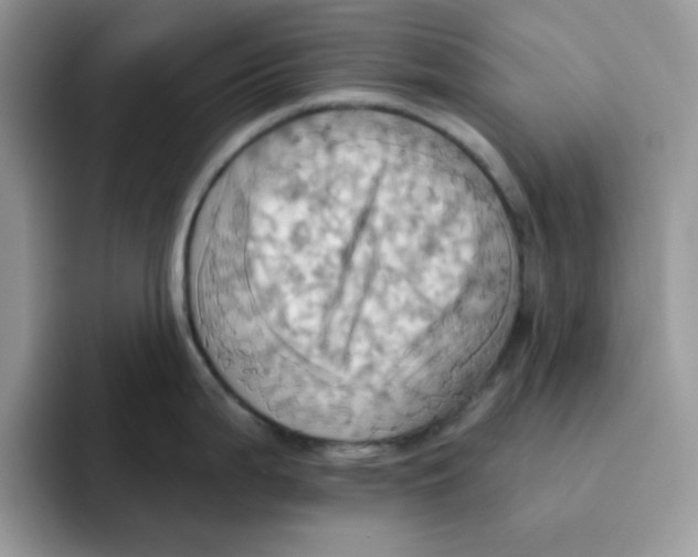 X0000091581199200709171110