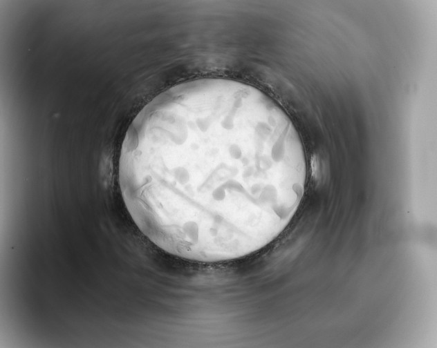 X0000091581203200709171109