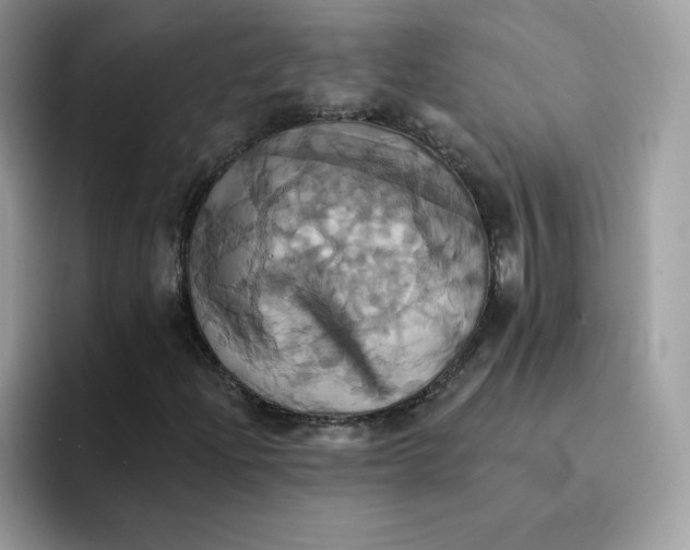 X0000091581204200709171109