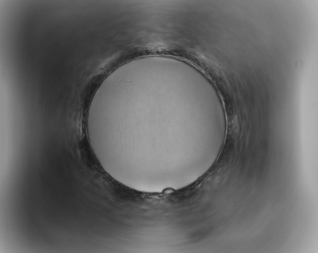 X0000091581205200709171109