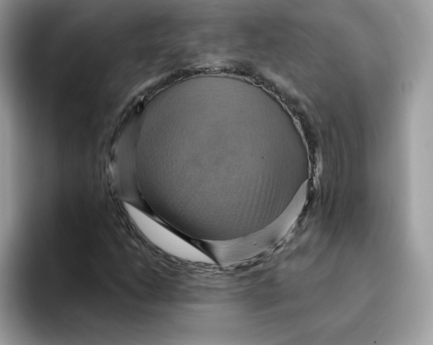 X0000091581206200709171109