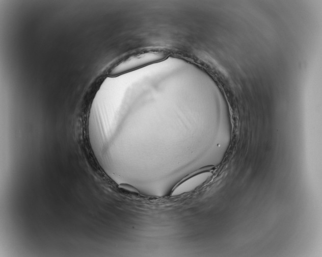 X0000091581208200709171109