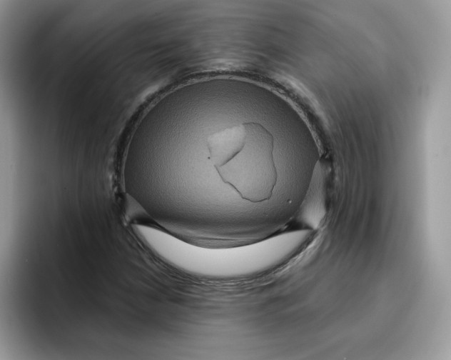 X0000091581210200709171109