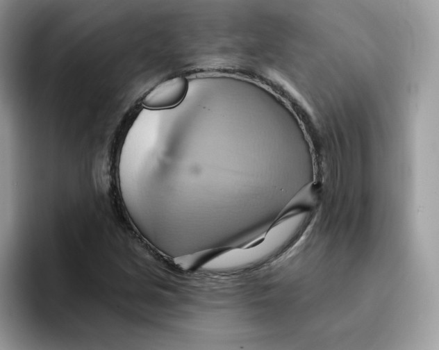 X0000091581213200709171109