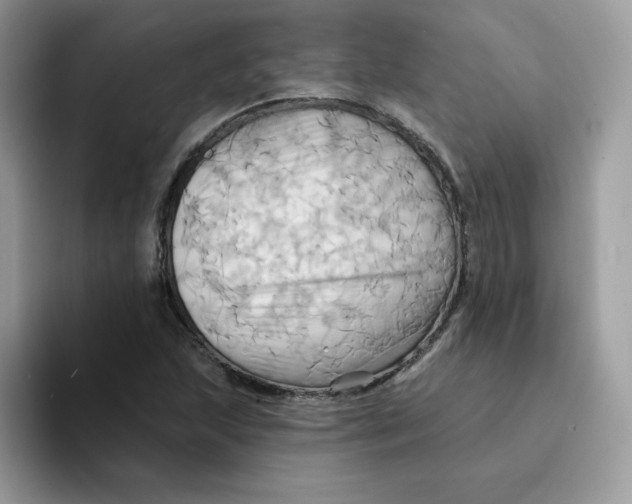 X0000091581215200709171109