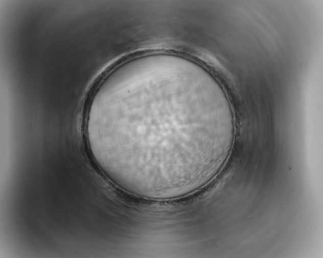 X0000091581216200709171110