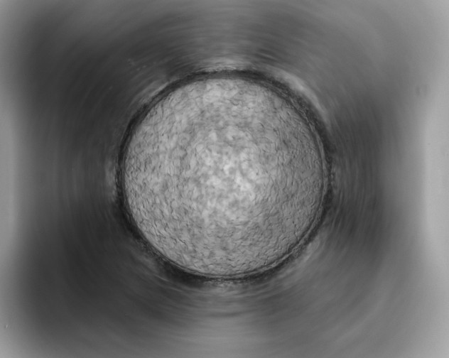 X0000091581217200709171110