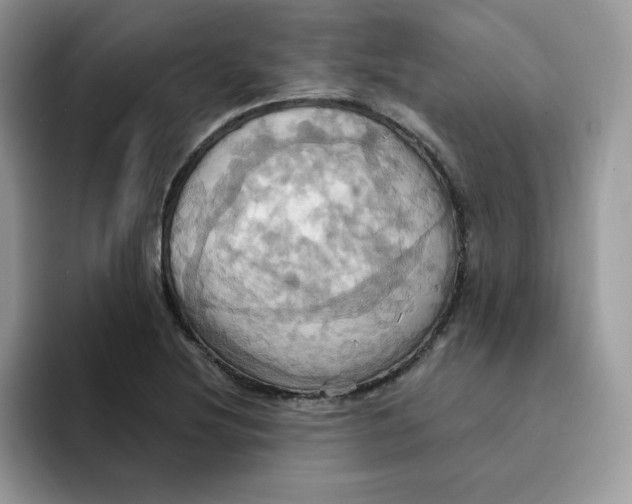 X0000091581220200709171110