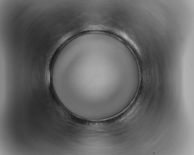 X0000091581221200709171110