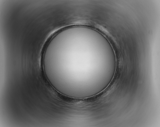X0000091581222200709171110
