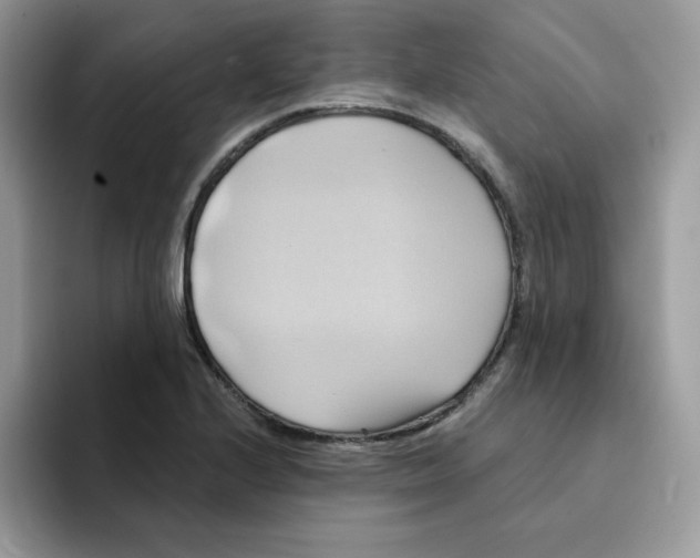 X0000091581224200709171110