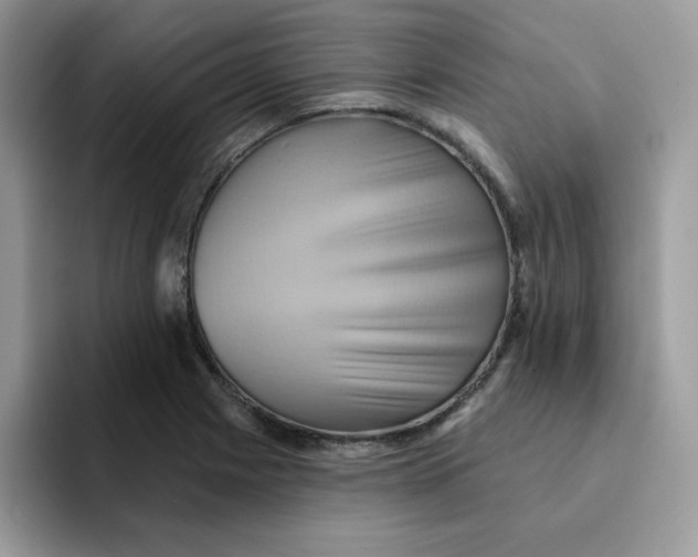 X0000091581225200709171110